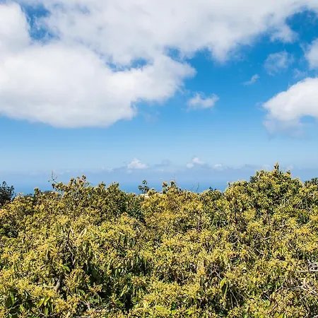 Daire Homeforguest Cosy Rural Flat La Lavanda Surrounded By Nature Tacoronte