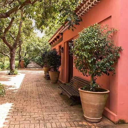 Daire Homeforguest Cosy Rural Flat La Lavanda Surrounded By Nature *