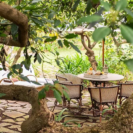 Homeforguest Cosy Rural Flat La Lavanda Surrounded By Nature * Tacoronte