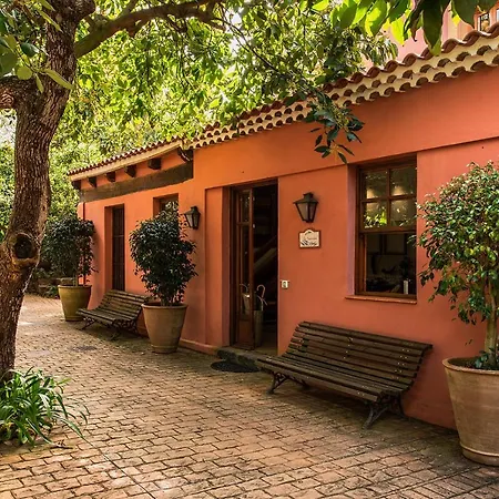 Daire Homeforguest Cosy Rural Flat La Lavanda Surrounded By Nature Tacoronte