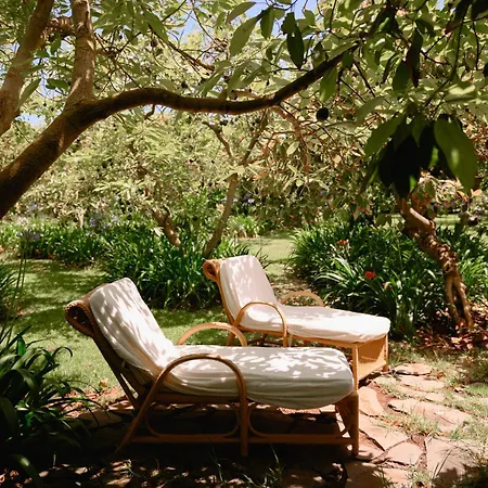 Homeforguest Cosy Rural Flat La Lavanda Surrounded By Nature Daire *