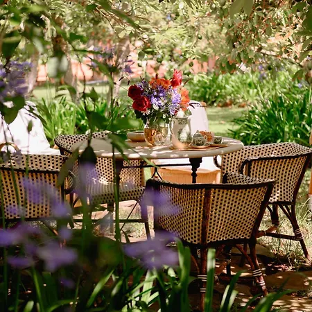 Homeforguest Cosy Rural Flat La Lavanda Surrounded By Nature Daire Tacoronte