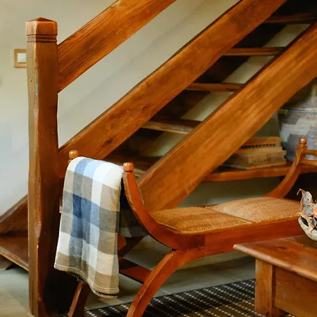 Daire Homeforguest Cosy Rural Flat La Lavanda Surrounded By Nature Tacoronte