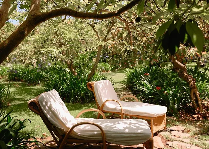 Homeforguest Cosy Rural Flat La Lavanda Surrounded By Nature Appartement *